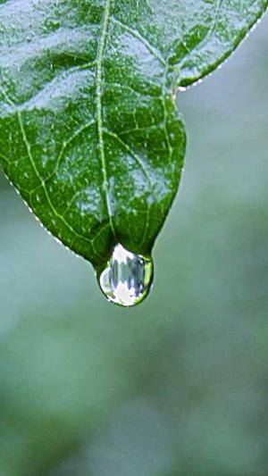 seo排名工具有哪些截图4