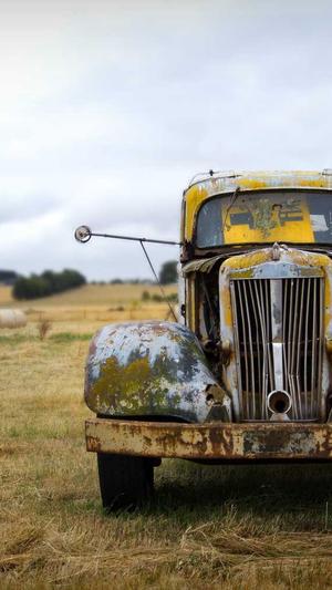 蜘蛛池有地域性吗截图3