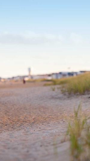 北京建站网站建设截图4