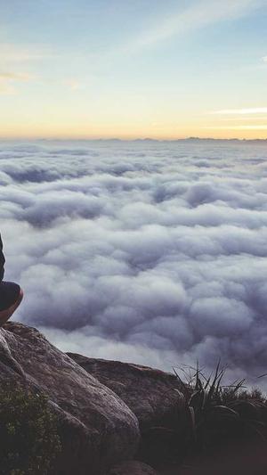 seo工具最新免费版截图2