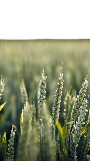 seo优化操作截图3