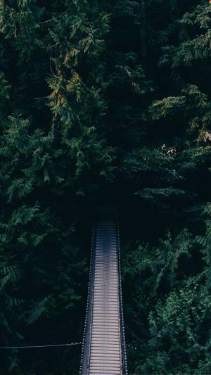 哪家网站建设截图3