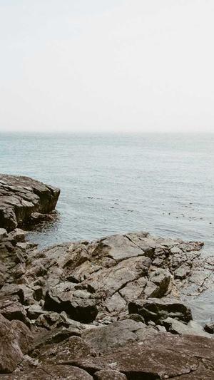 聚合泛目录v5站群作用截图1