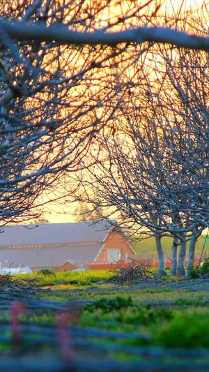 无名蜘蛛池程序破解版截图2