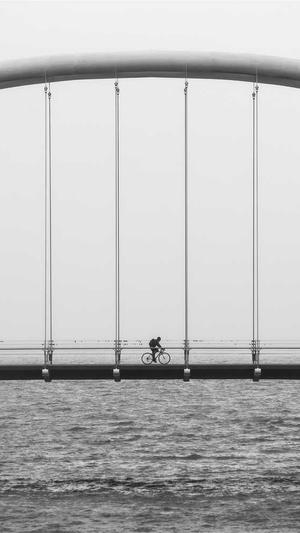 广东蜘蛛池租用截图1