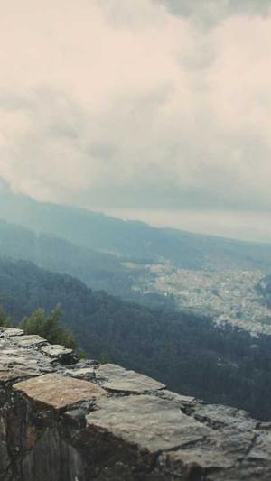 厦门市建设局官方网站截图5