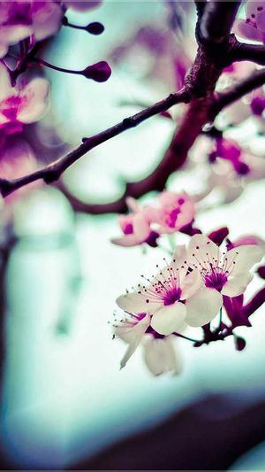 怎么做百度收录泛目录截图4