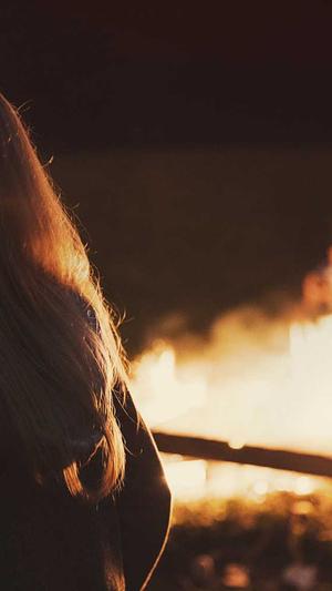 太原seo优化截图1