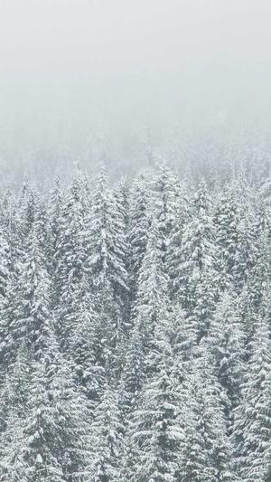 南昌网站建设截图3