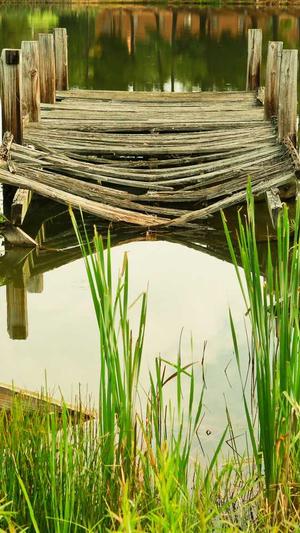 江西蜘蛛池出租服务截图3