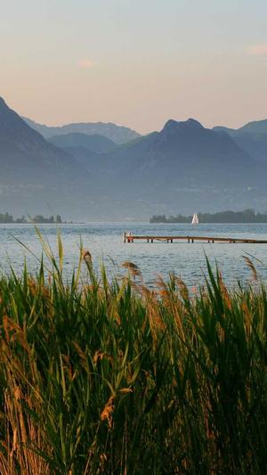 重庆网站seo排名截图2