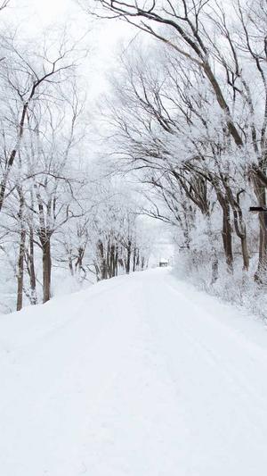 首页seo优化截图2