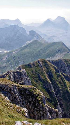 百万蜘蛛池截图1