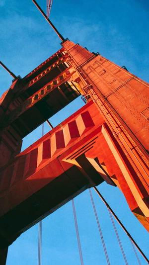 有效的网站seo优化平台截图1