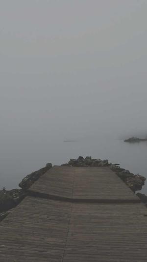 蜘蛛池程序开发晕啊截图1