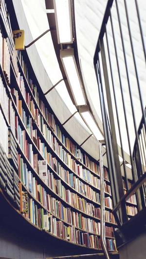 如何做seo排名优化工具截图4