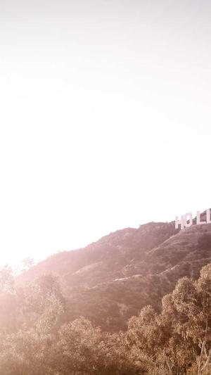 蜘蛛池能买吗截图3