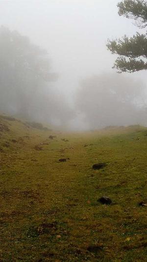 泛目录生成截图2