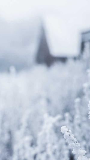 政府网站 建设截图1