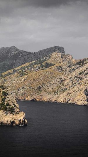 上海蜘蛛池出租服务截图2