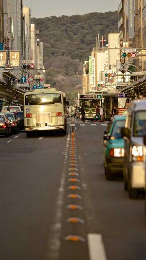 福建蜘蛛池出租服务截图4