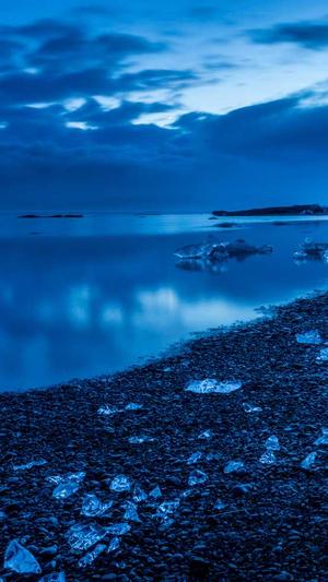 万能蜘蛛池站群截图5