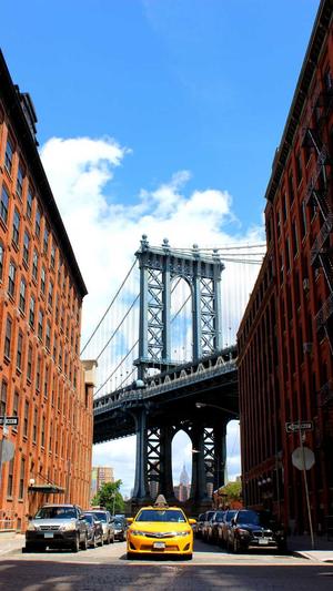 蜘蛛池 百家号截图4