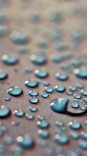 小旋风万能蜘蛛池站群截图3