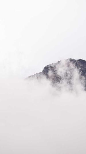 小旋风蜘蛛池源码截图3