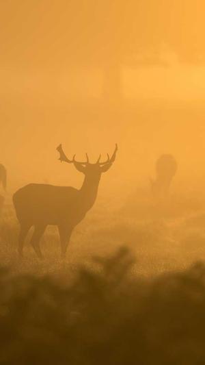 网站seo优化网站截图2