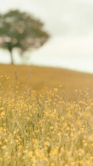 蜘蛛池怎么做好吃截图3