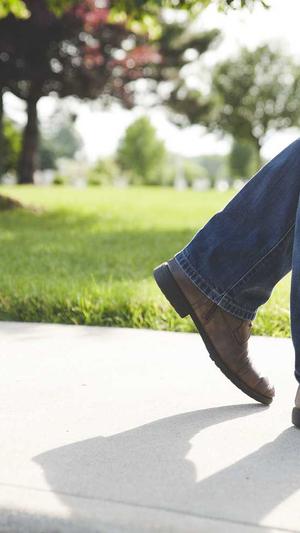 seo网络优化推广截图1