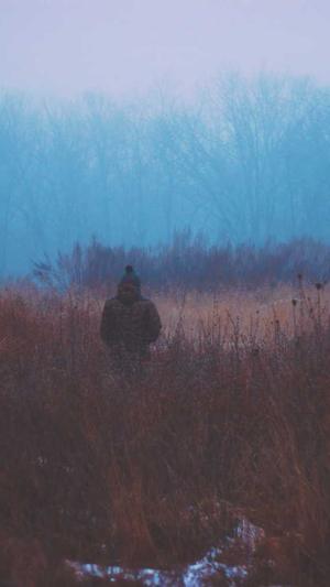 国外网站建设截图2