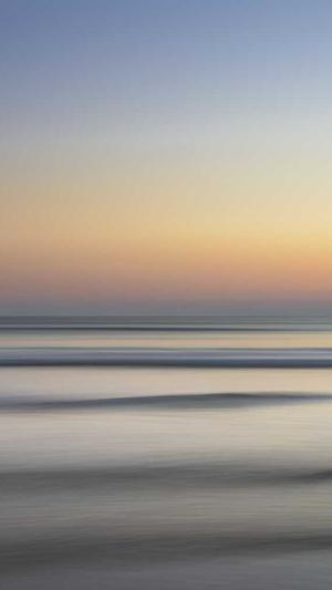 建设的招标网站截图1