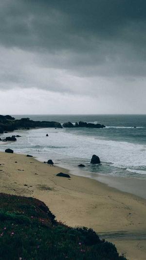 小霸王蜘蛛池解密截图2