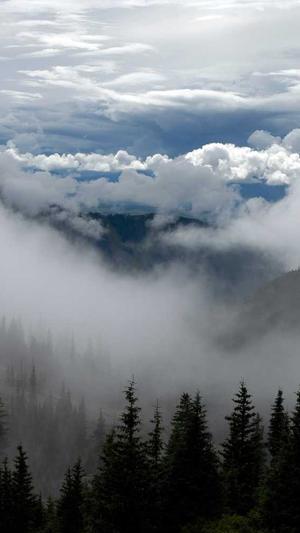 网店网站建设截图4