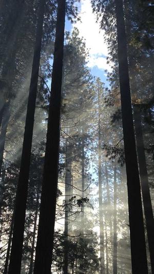 seo优化常用工具截图3