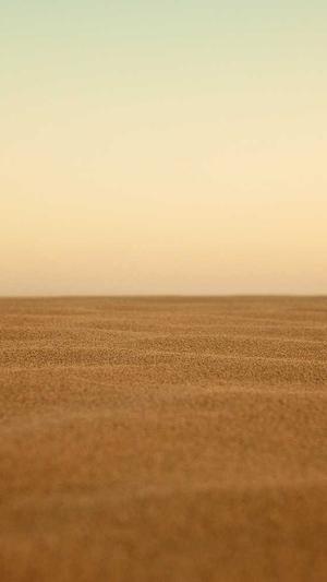 免费seo伪原创工具下载截图5