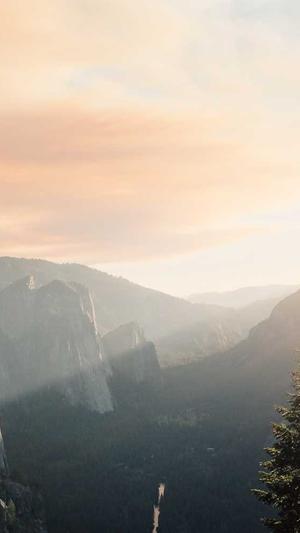 上海蜘蛛池出租包月截图3