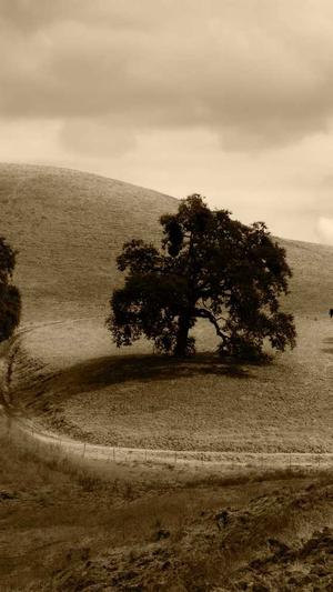 渭南网站建设截图5